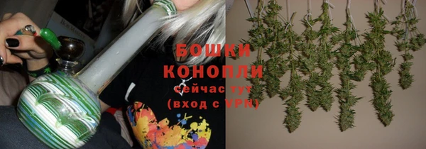амф Гусиноозёрск
