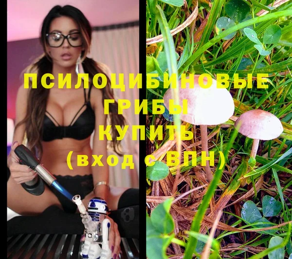 MDMA Premium VHQ Гусев