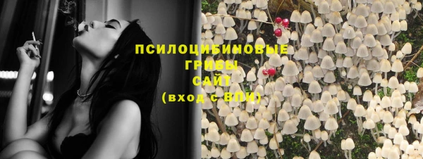 амф Гусиноозёрск